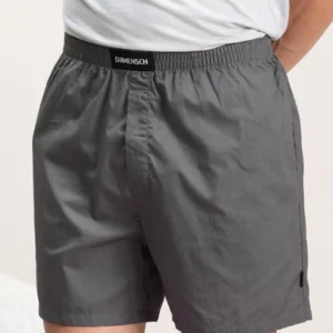 BREEEZE Ultra-light Boxer Shorts Las Grey
